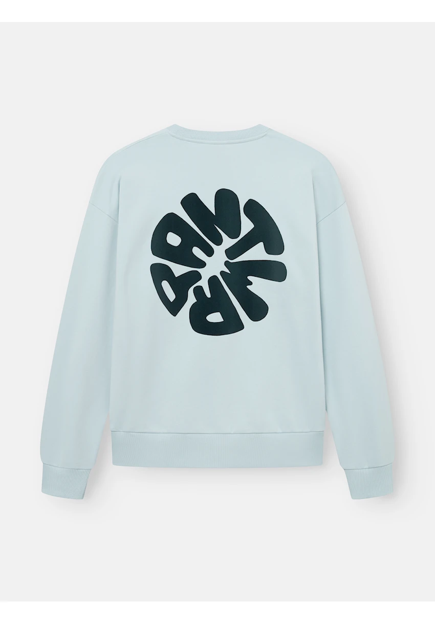 Sweat Light Blue Logo Back Print Velours